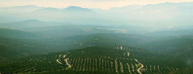 El origen de la expresión «irse por los cerros de Úbeda»